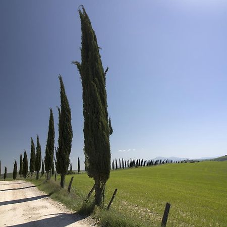 Baldovino Di Monte Bed and Breakfast Monte San Savino Exteriör bild