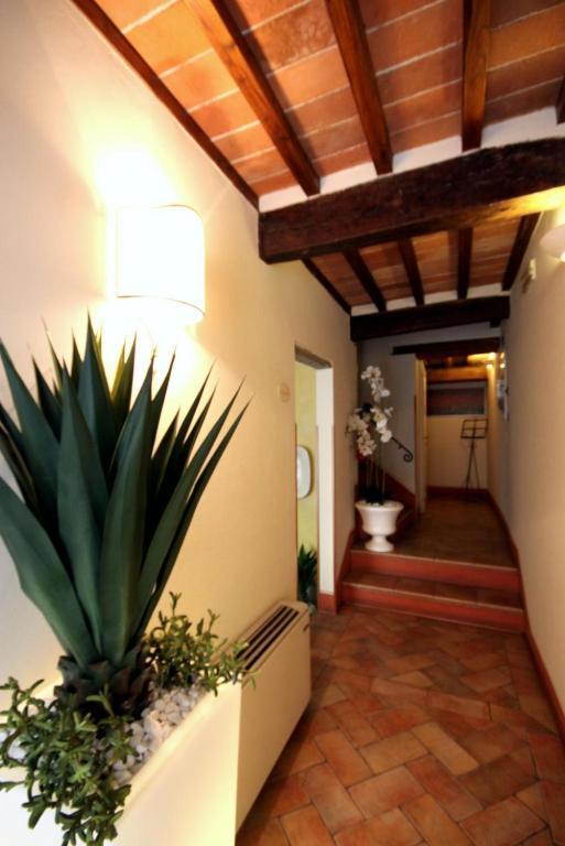 Baldovino Di Monte Bed and Breakfast Monte San Savino Exteriör bild