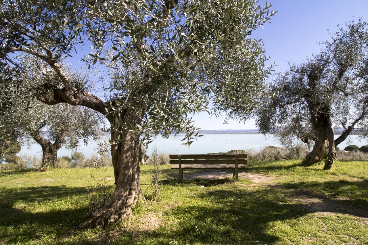 Baldovino Di Monte Bed and Breakfast Monte San Savino Exteriör bild